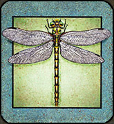 Painted Tile with Dragonfly by Holly Benay Cutting